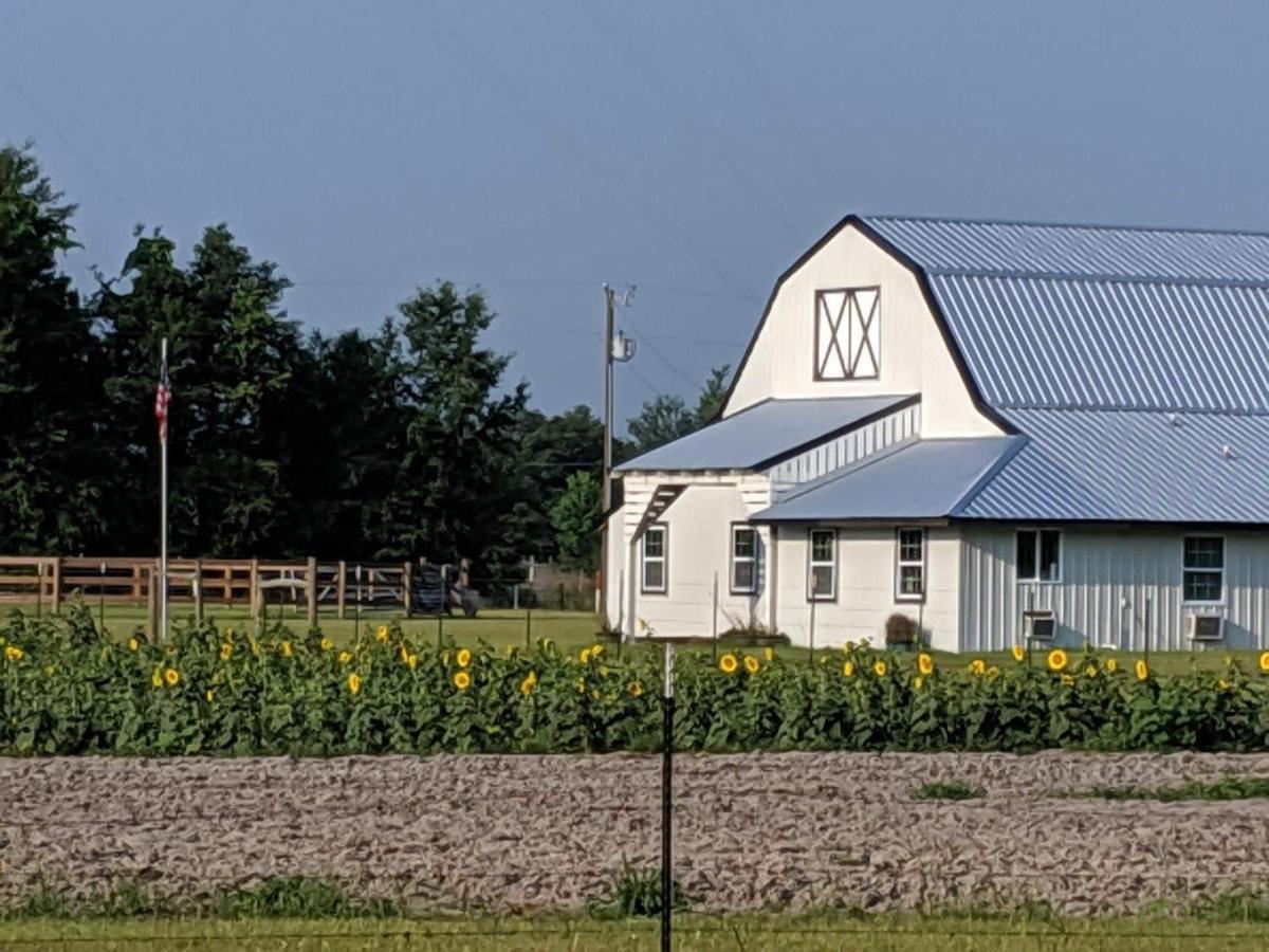 Bunkhouse Farm Stay Fort White Kültér fotó